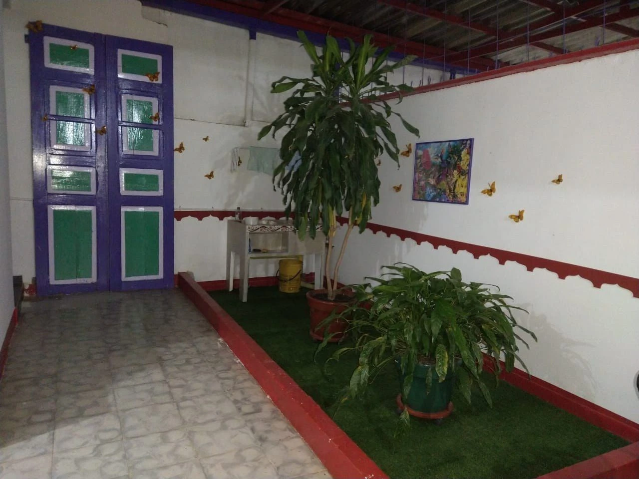 Moradita 1 courtyard with plants
