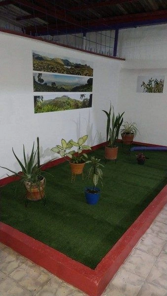 Moradita 2 · current photo 9